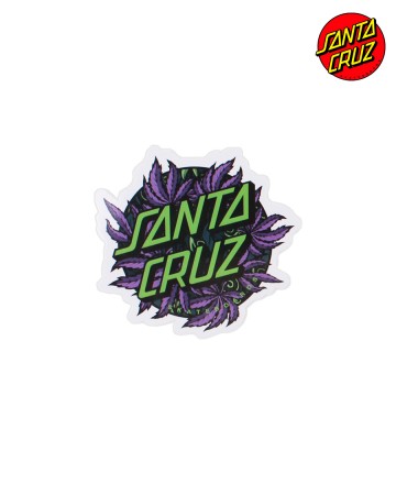 Sticker
Santa Cruz Weed