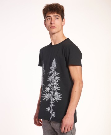 Remera
MCD Botanic