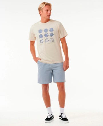 Boardwalks
Saltwater Culture 19 Pulg