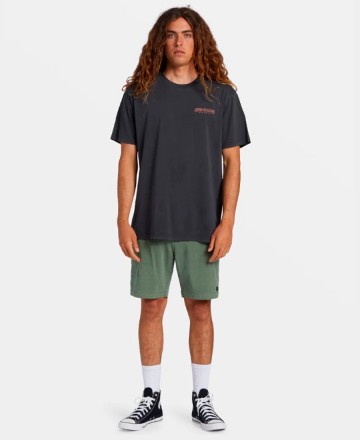Remera
Billabong Feeling