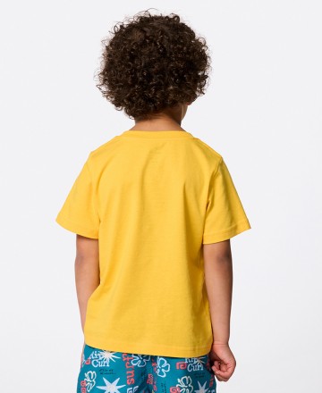 Remera 
Rip Curl Aots