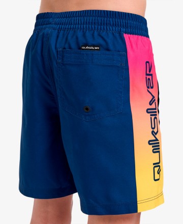 Boardshort 
Quiksilver Everyday Holmes 14