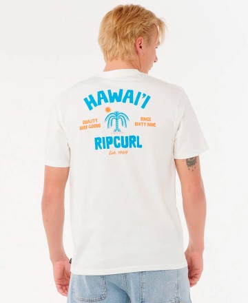 Remera 
Rip Curl RLX Destination