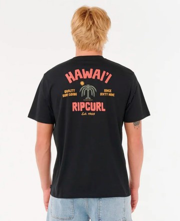 Remera 
Rip Curl RLX Destination