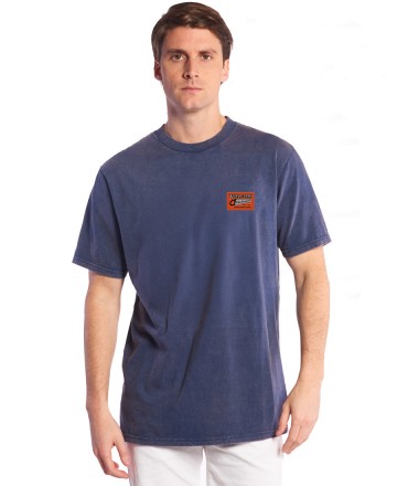 Remera 
Volcom RLX Process Print