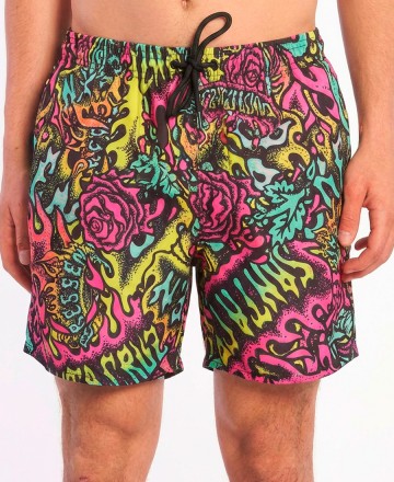 Boardshort 
Santa Cruz Dope Planet 16